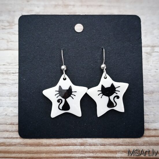 Zvaigznes formas kaķu auskari 